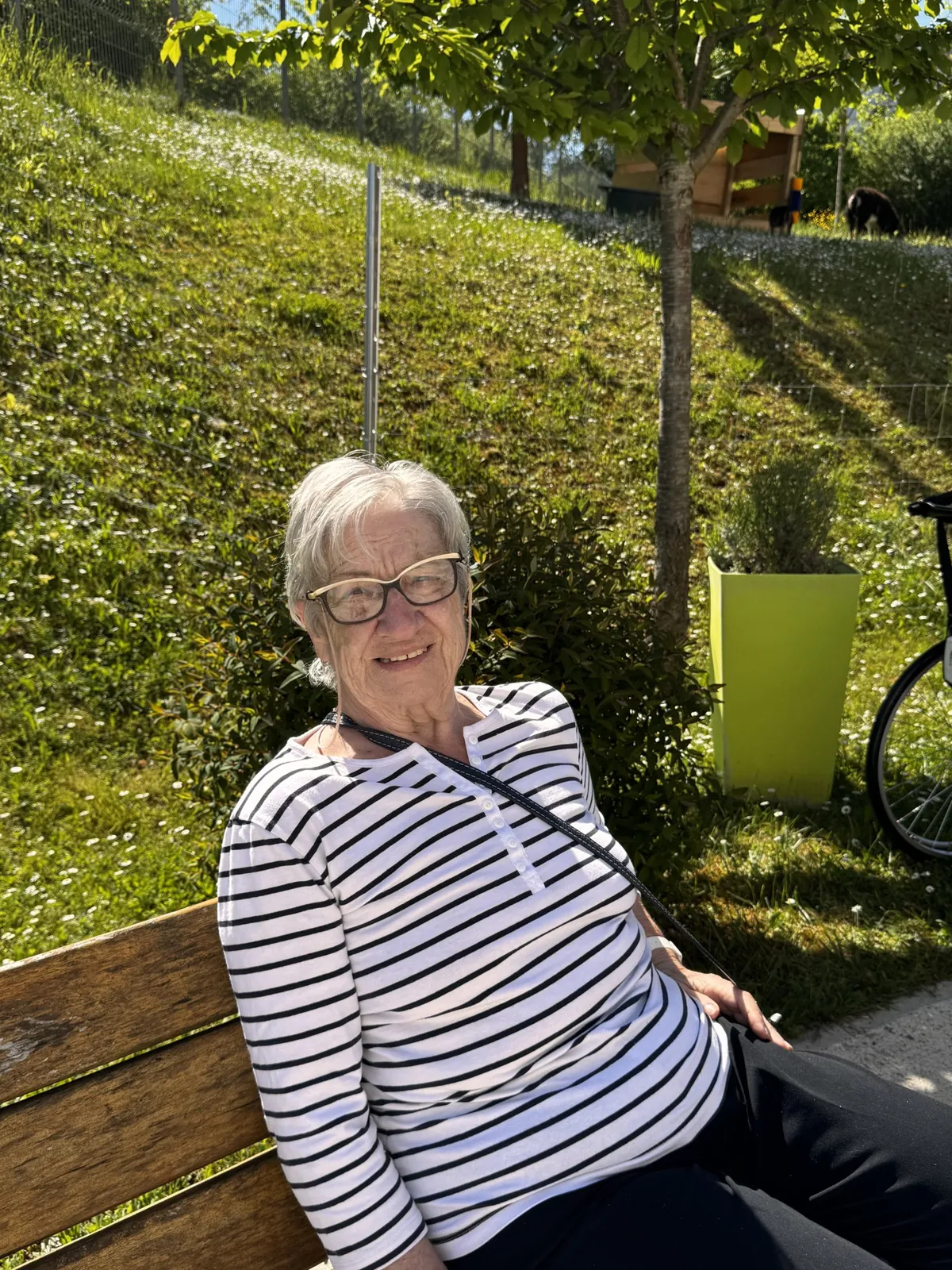 Eco pâturage à l'EHPAD Les Tourterelles Seine et Marne