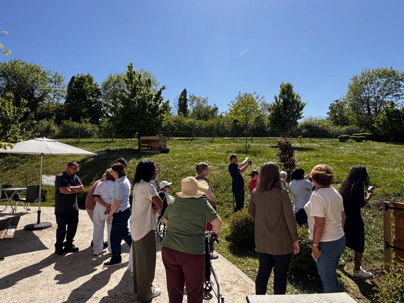 Eco pâturage à l'EHPAD Les Tourterelles Seine et Marne