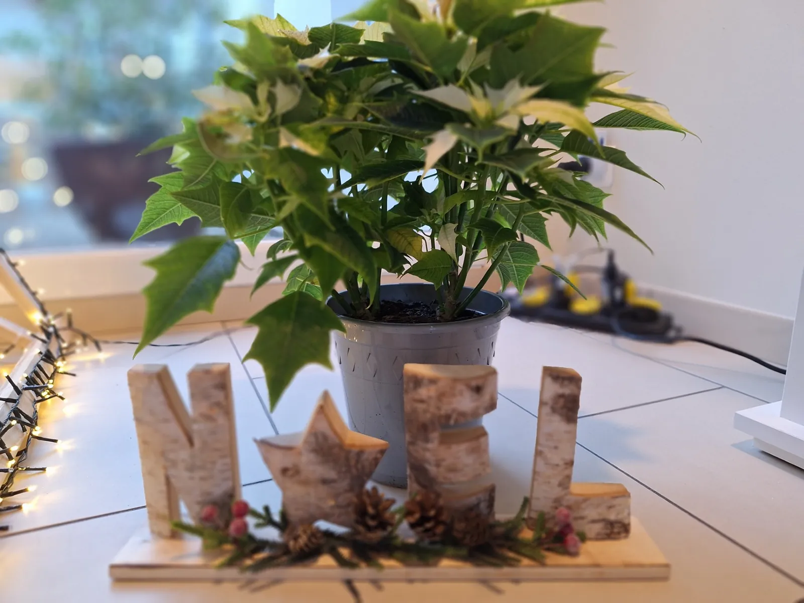 Focus sur quelques décorations dans l'esprit de Noël...