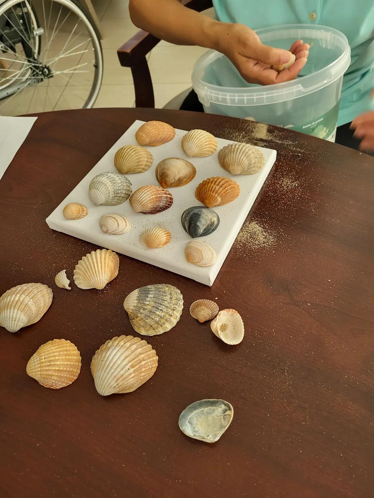 Les coquillages de Houlgate se transforment en tableaux Aux Adrets 