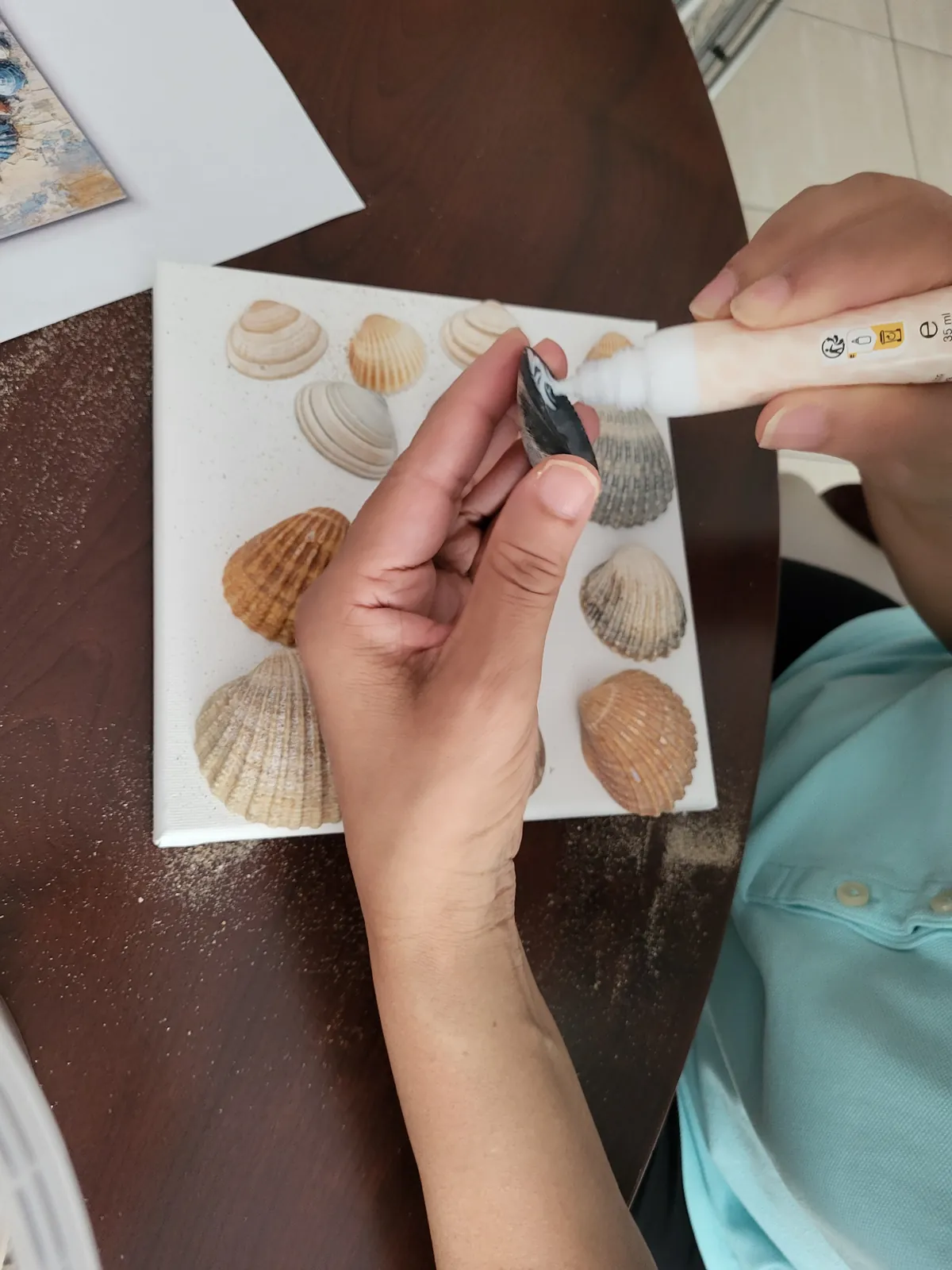 Les coquillages de Houlgate se transforment en tableaux Aux Adrets 
