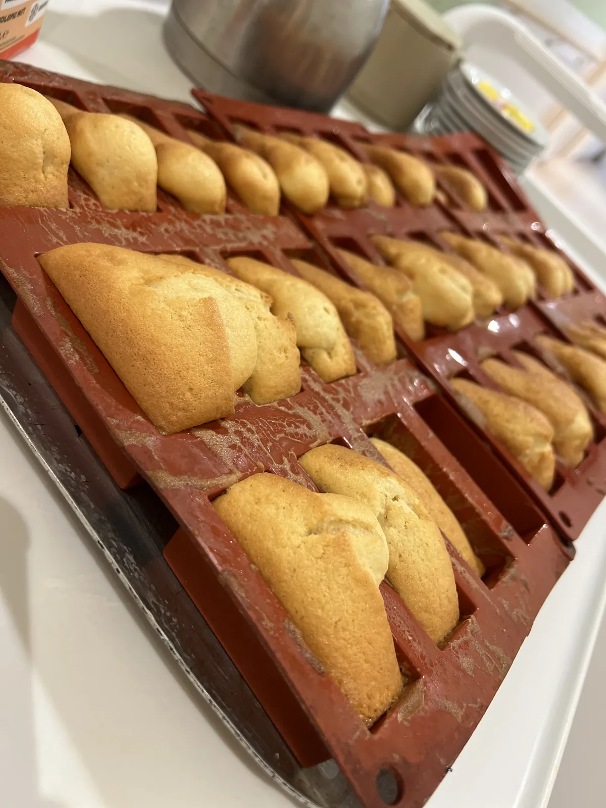 Les madeleines de l'UP Séraphine