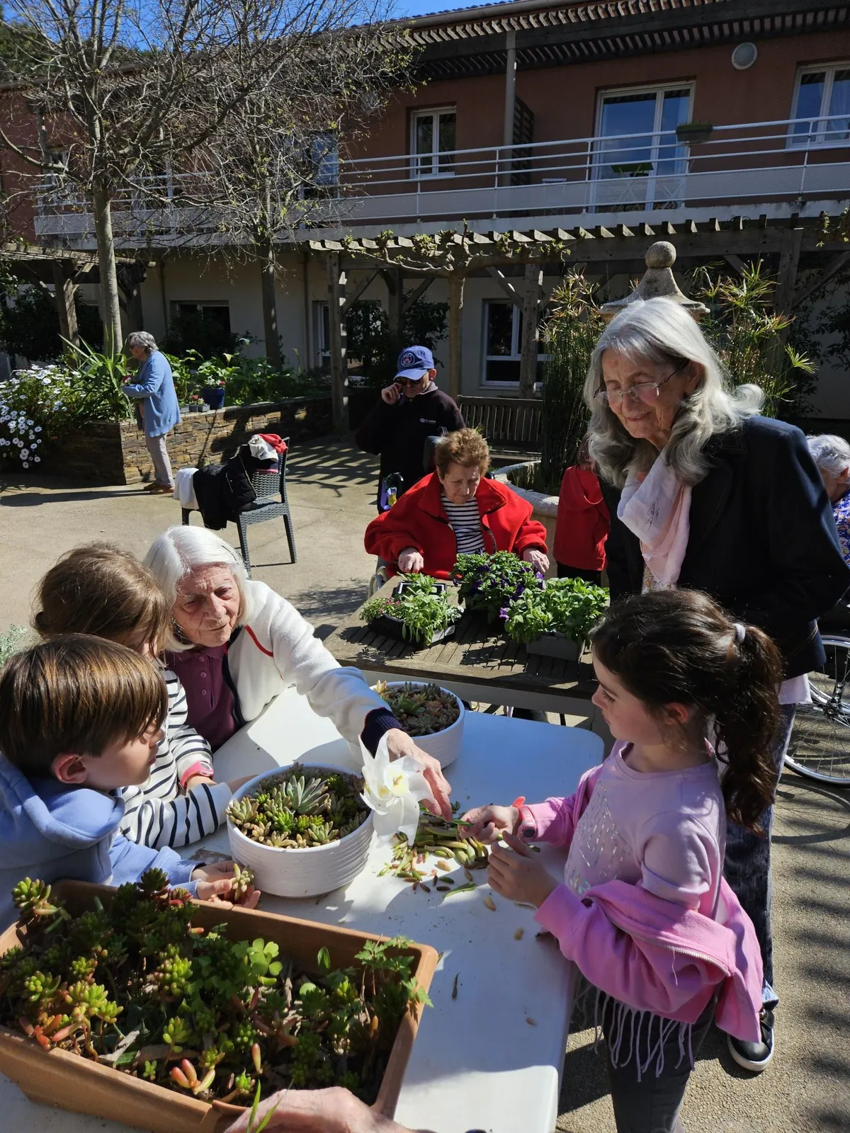 Planter, créer, partager : le printemps qui rapproche les générations