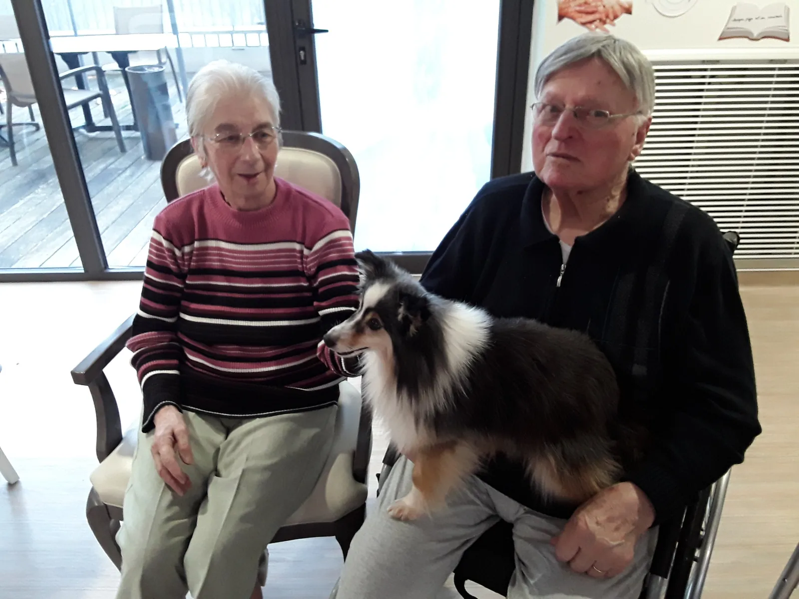 Chiens visiteurs : un moment magique pour nos résidents !