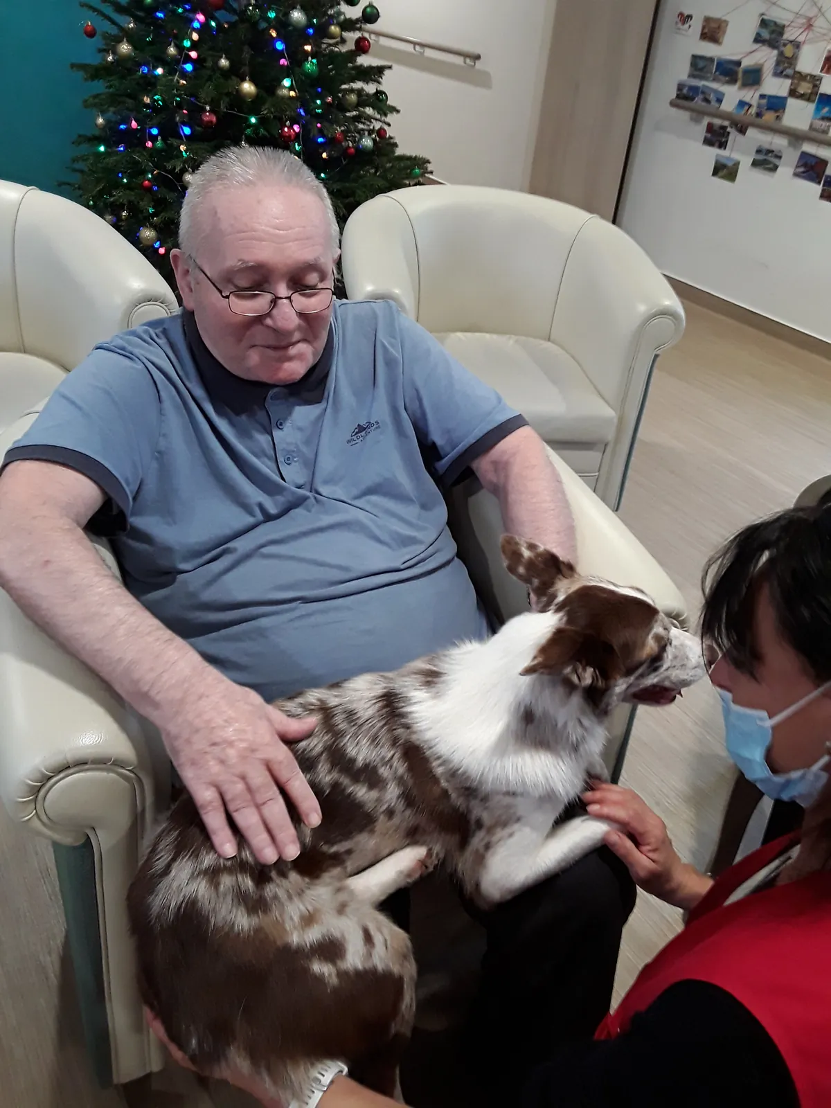 Chiens visiteurs : un moment magique pour nos résidents !