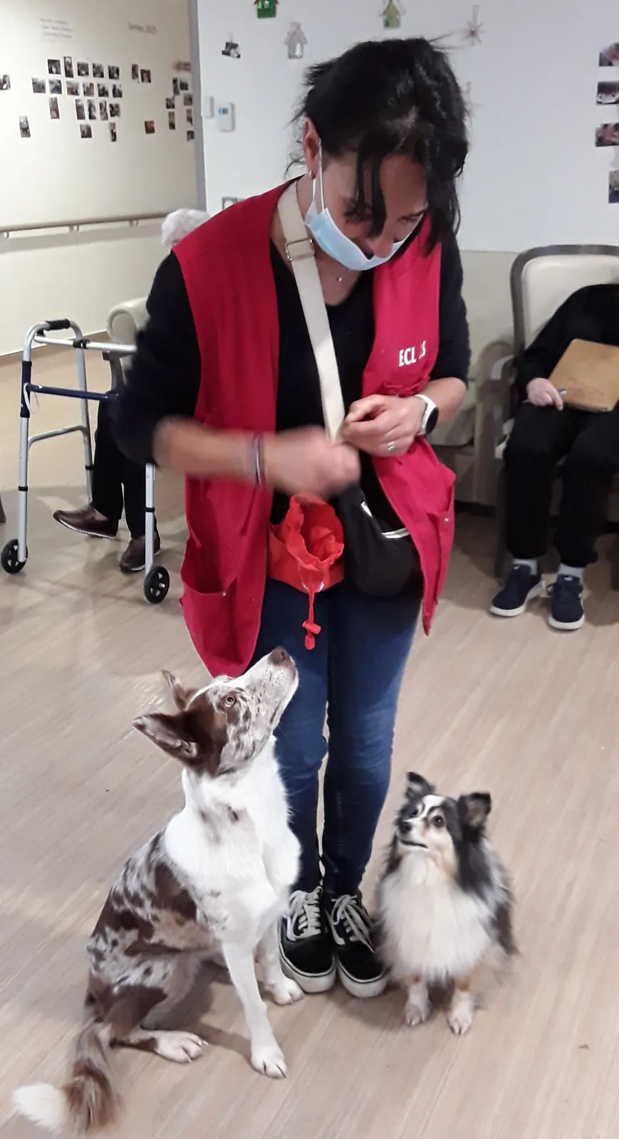 Chiens visiteurs : un moment magique pour nos résidents !
