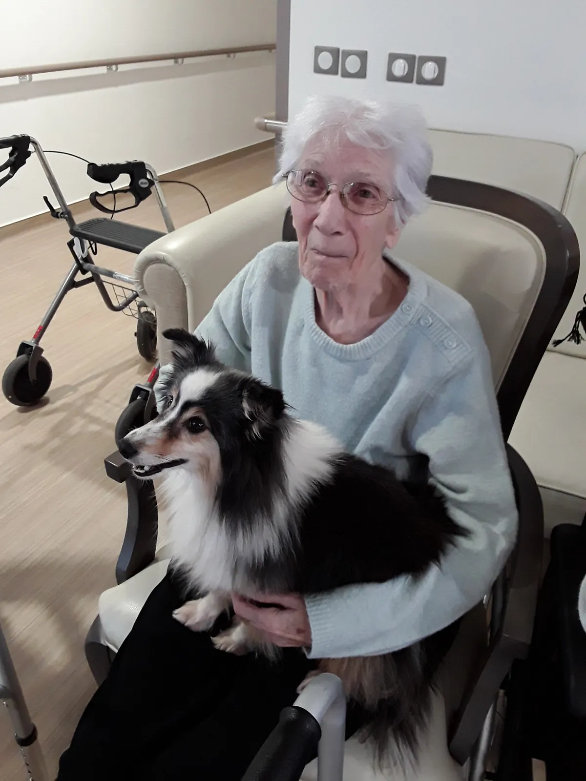 Chiens visiteurs : un moment magique pour nos résidents !