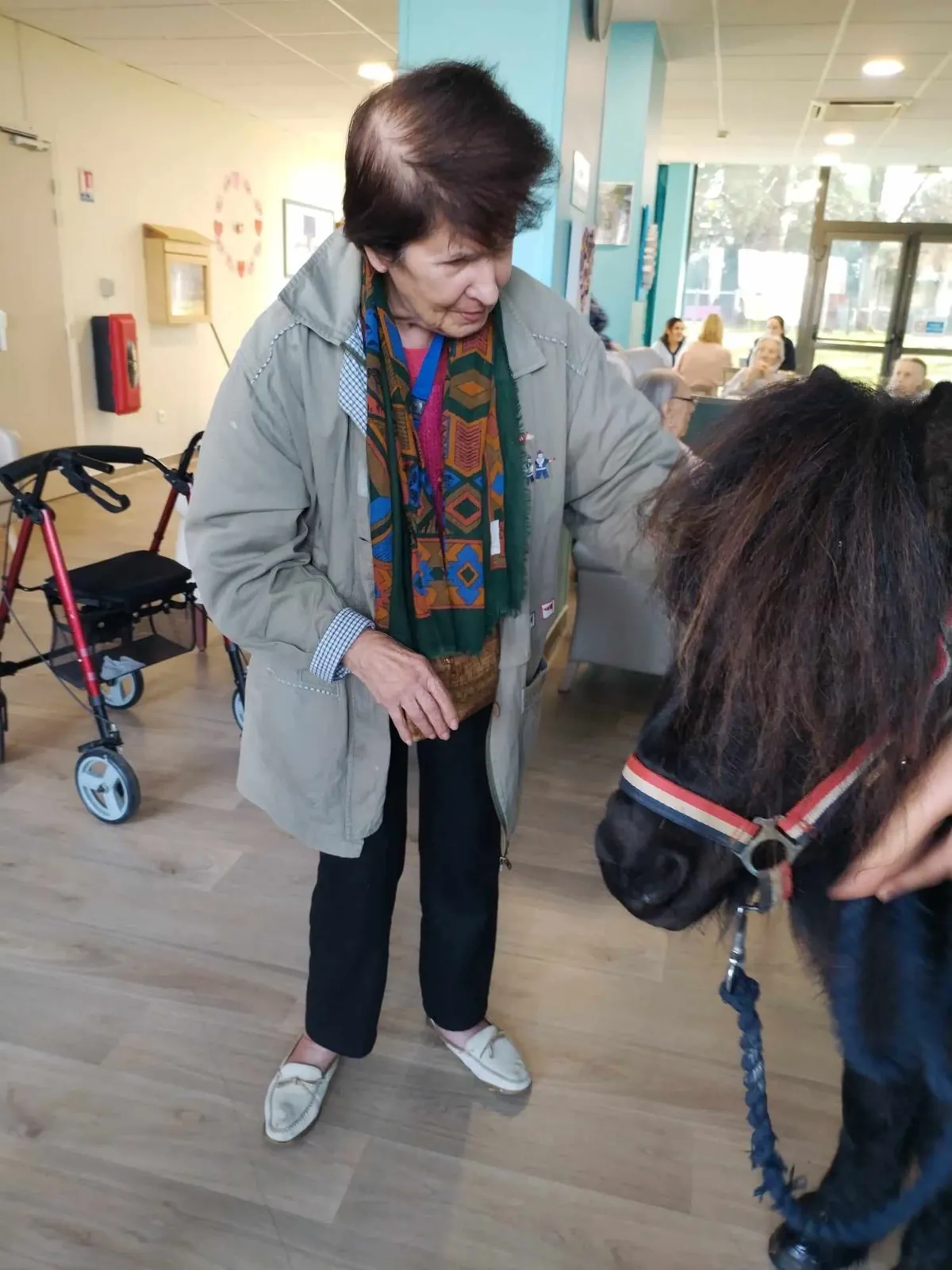 Visite Surprise 