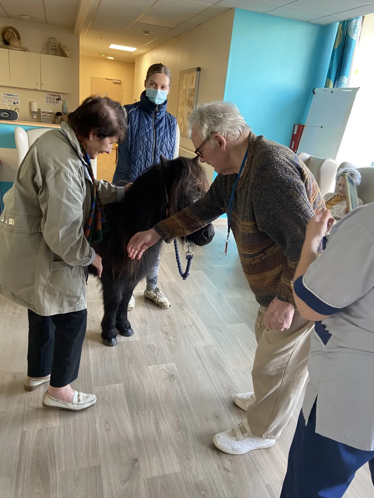 Visite Surprise 