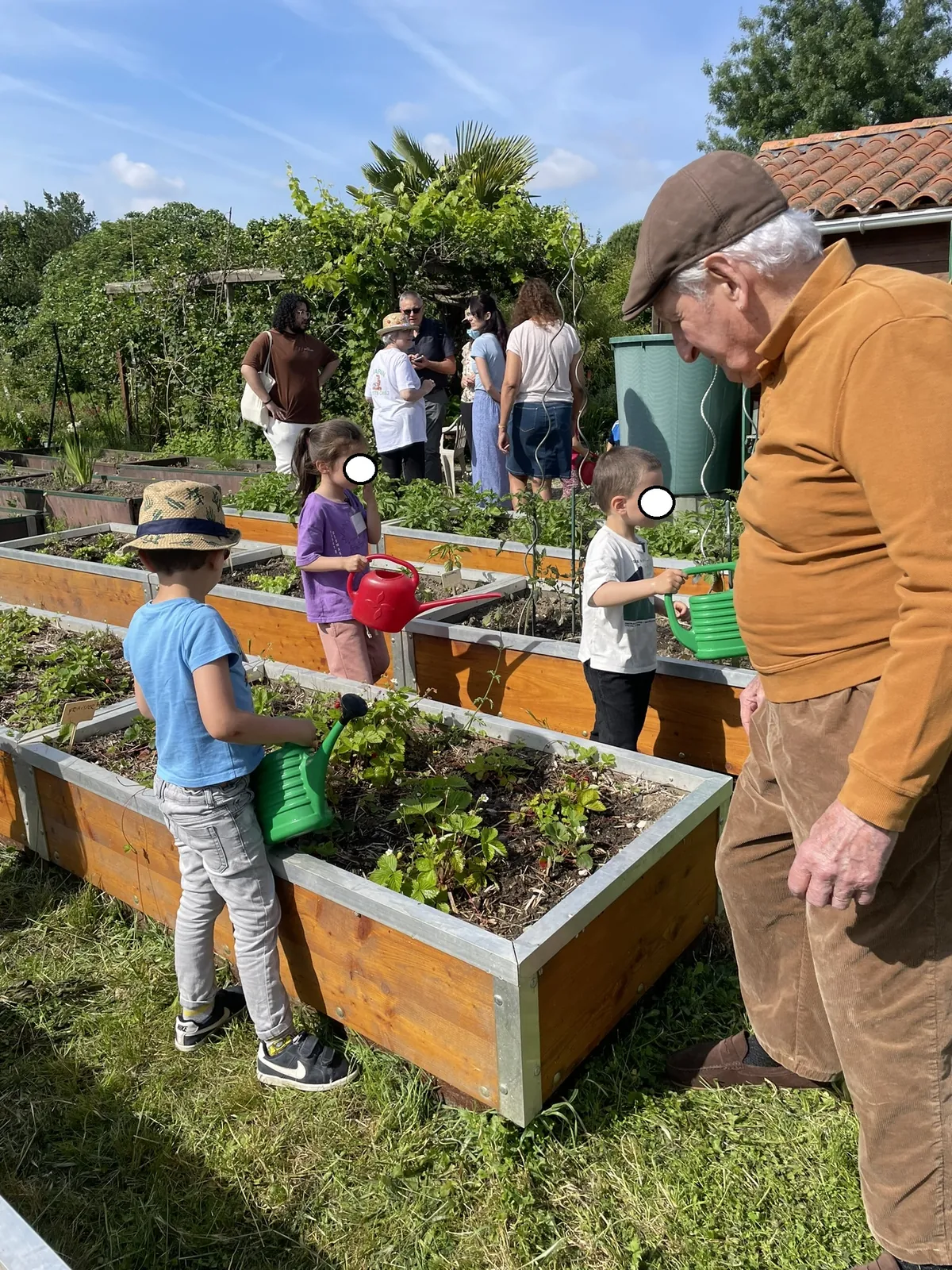 Rencontre avec les enfants aux jardins familiaux 