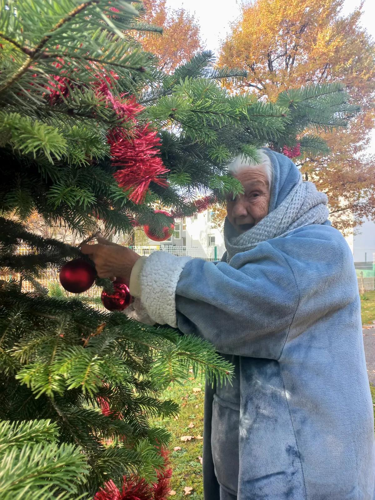 Les premiers jours de décembre  