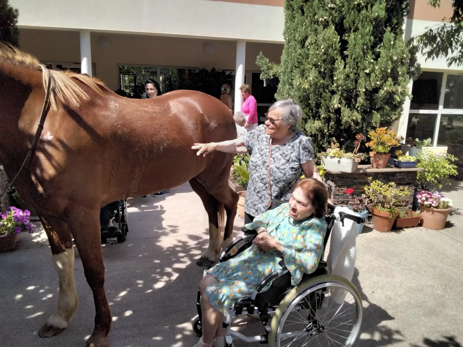 UN AIR CHAMPÊTRE  AU GRAND JARDIN