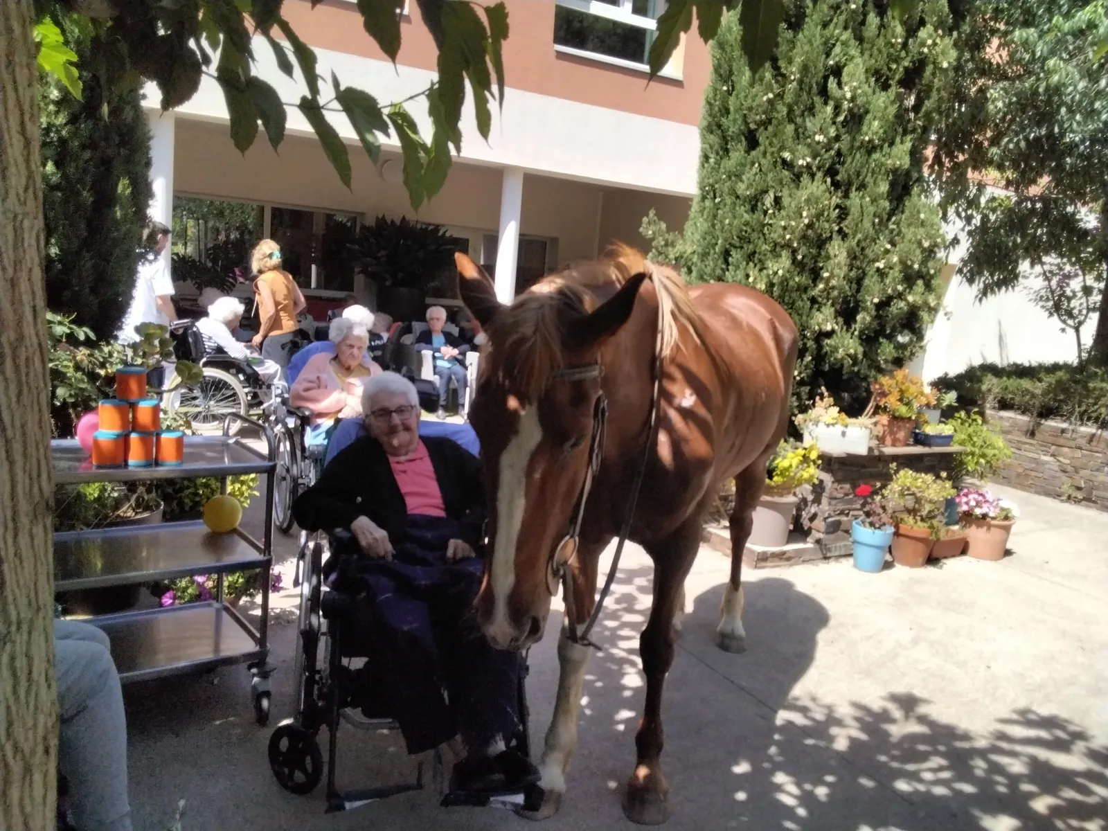 UN AIR CHAMPÊTRE  AU GRAND JARDIN