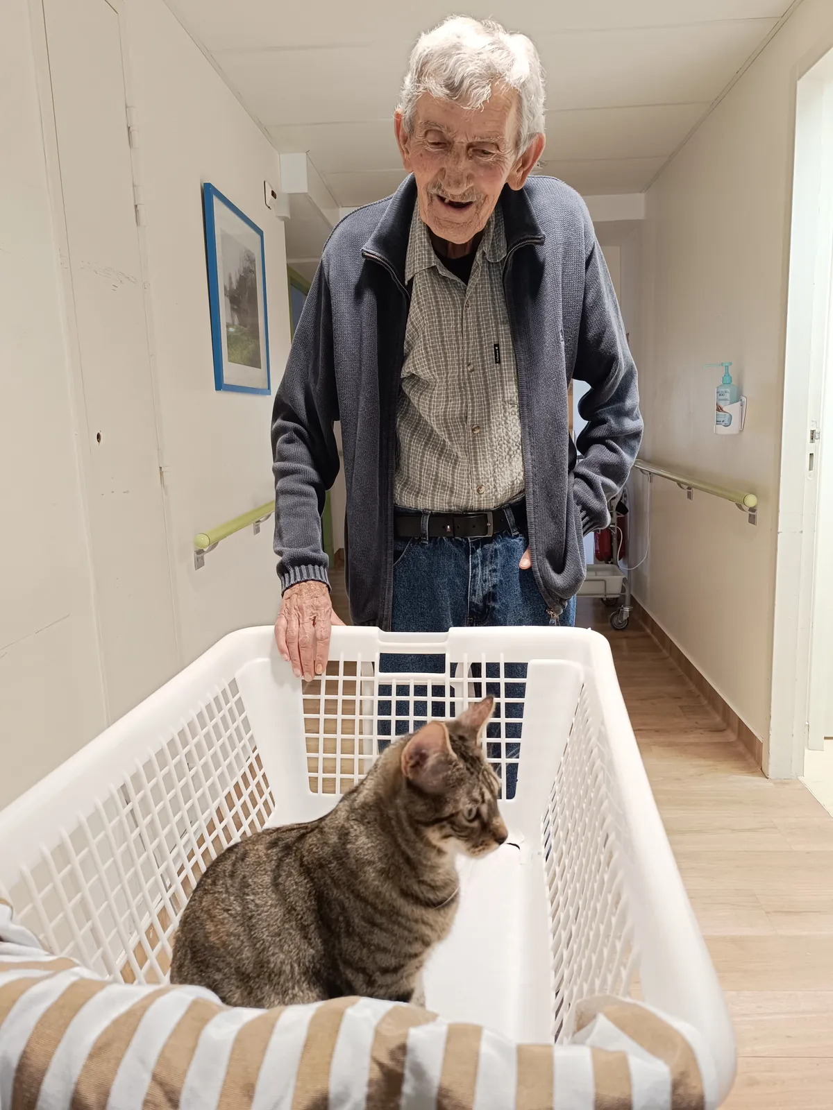 Vos hôtes les chats ! 