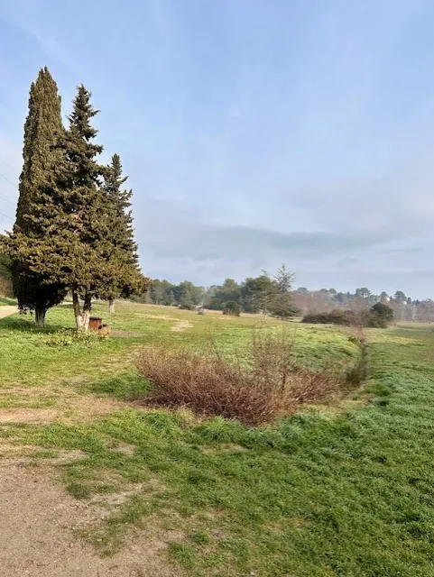 Randonnée à l'Etang de Fontmerle