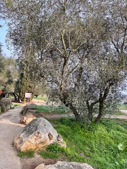 Randonnée à l'Etang de Fontmerle