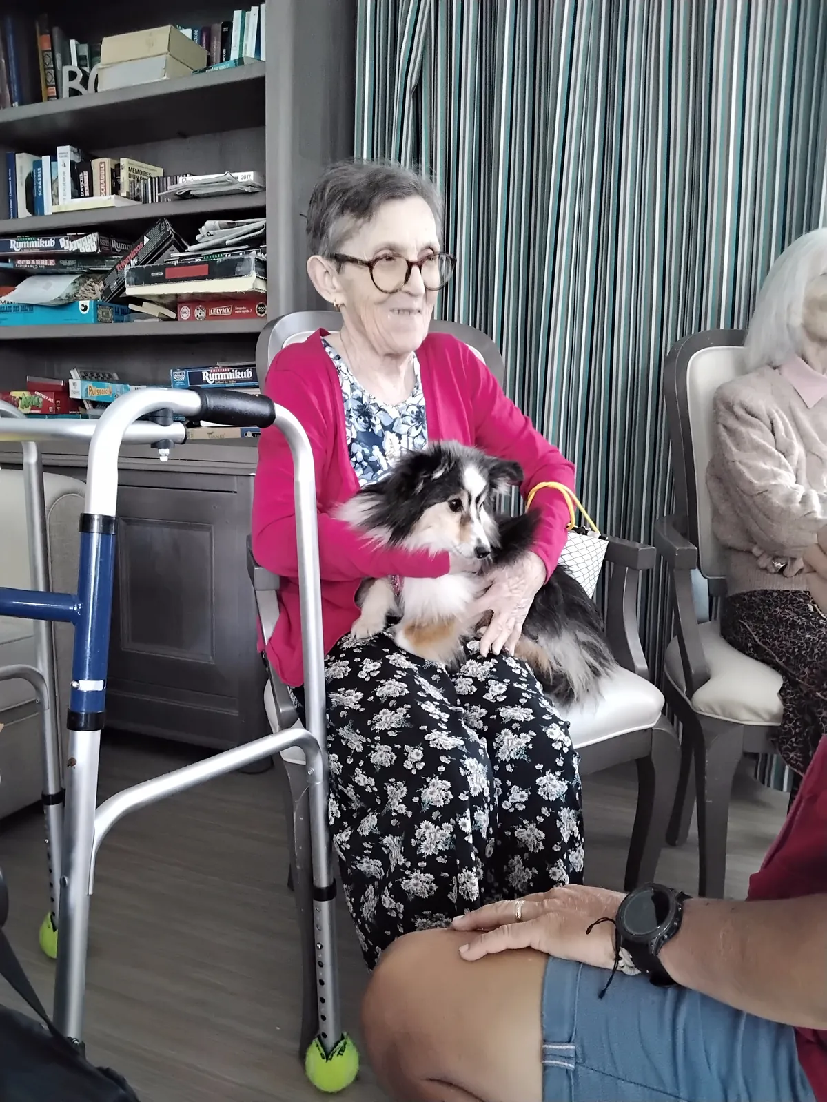 Chiens visiteurs