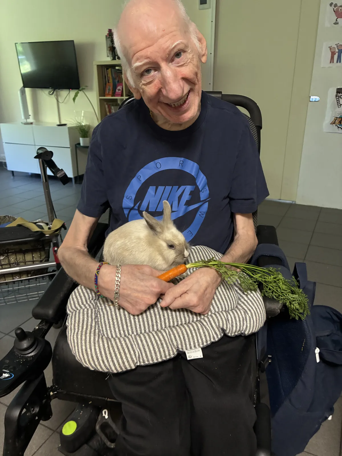 Nos amis les animaux 