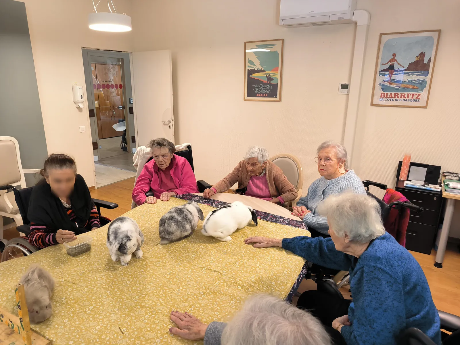 Une après-midi de douceur et de partage grâce à la zoothérapie