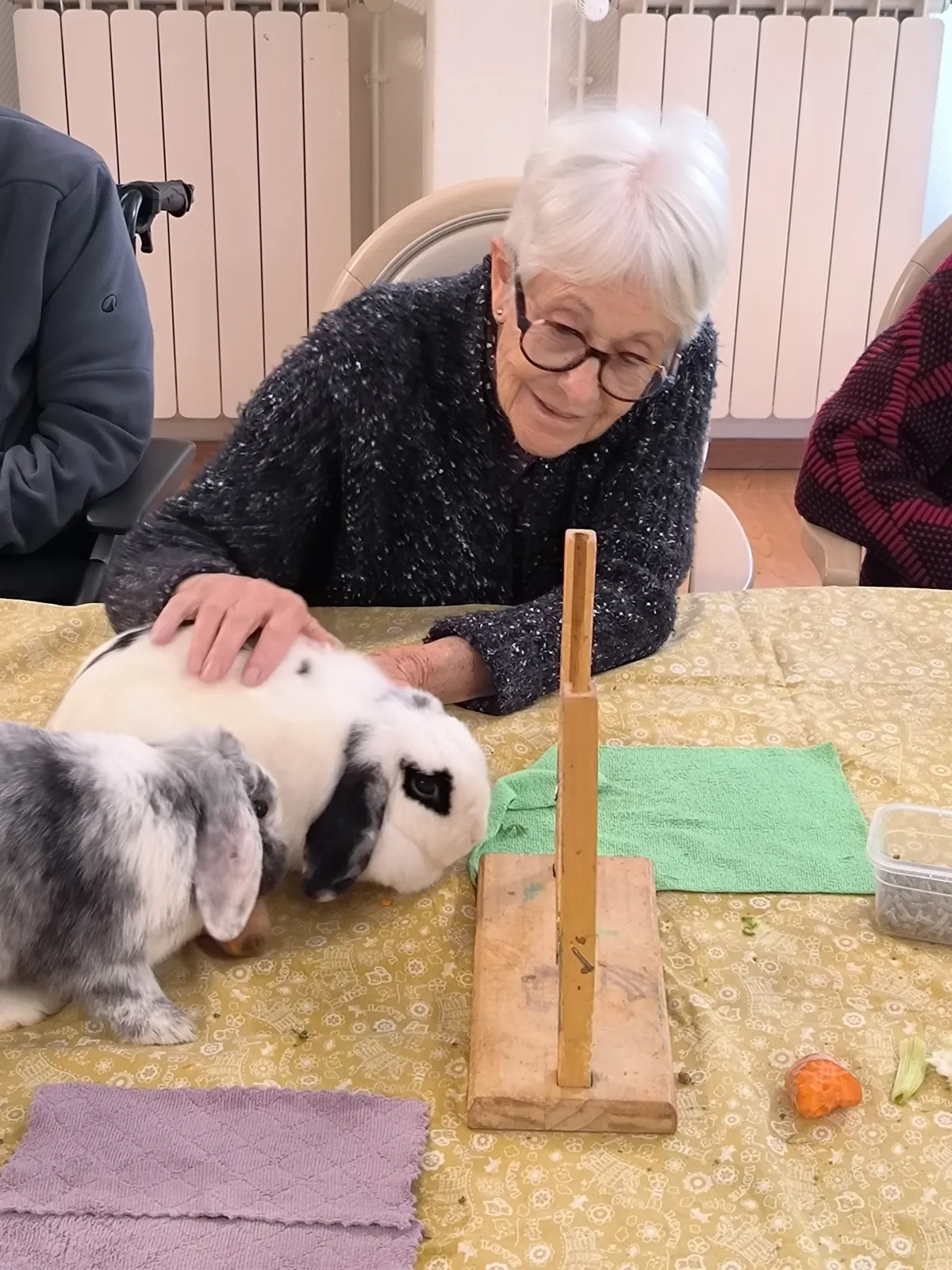 Une après-midi de douceur et de partage grâce à la zoothérapie