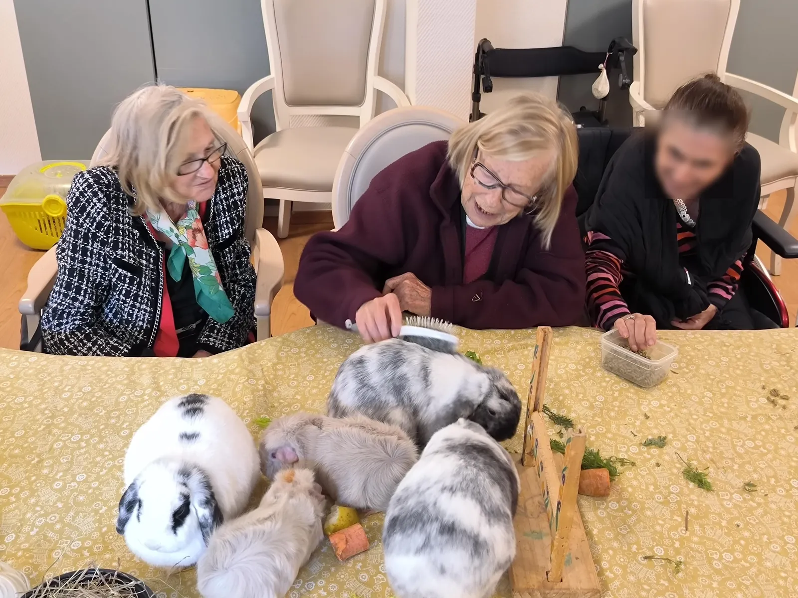 Une après-midi de douceur et de partage grâce à la zoothérapie