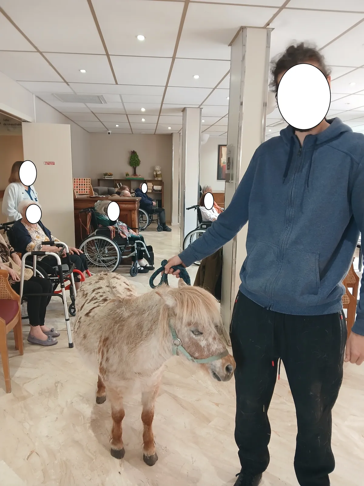 activité de zoothérapie à la résidence les blacassins 
