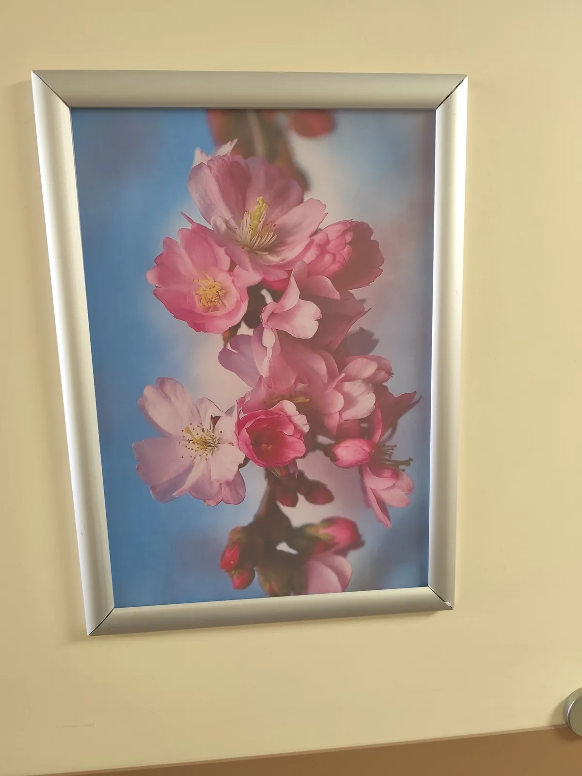 Le printemps  