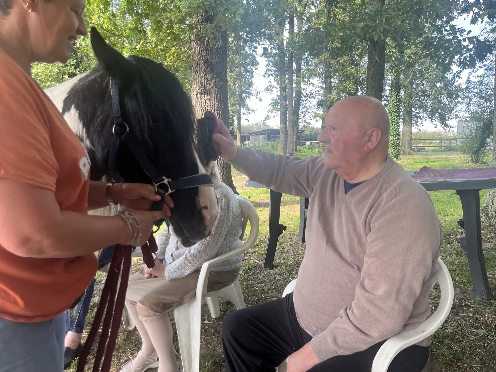 Equithérapie : la rencontre avec Gopro
