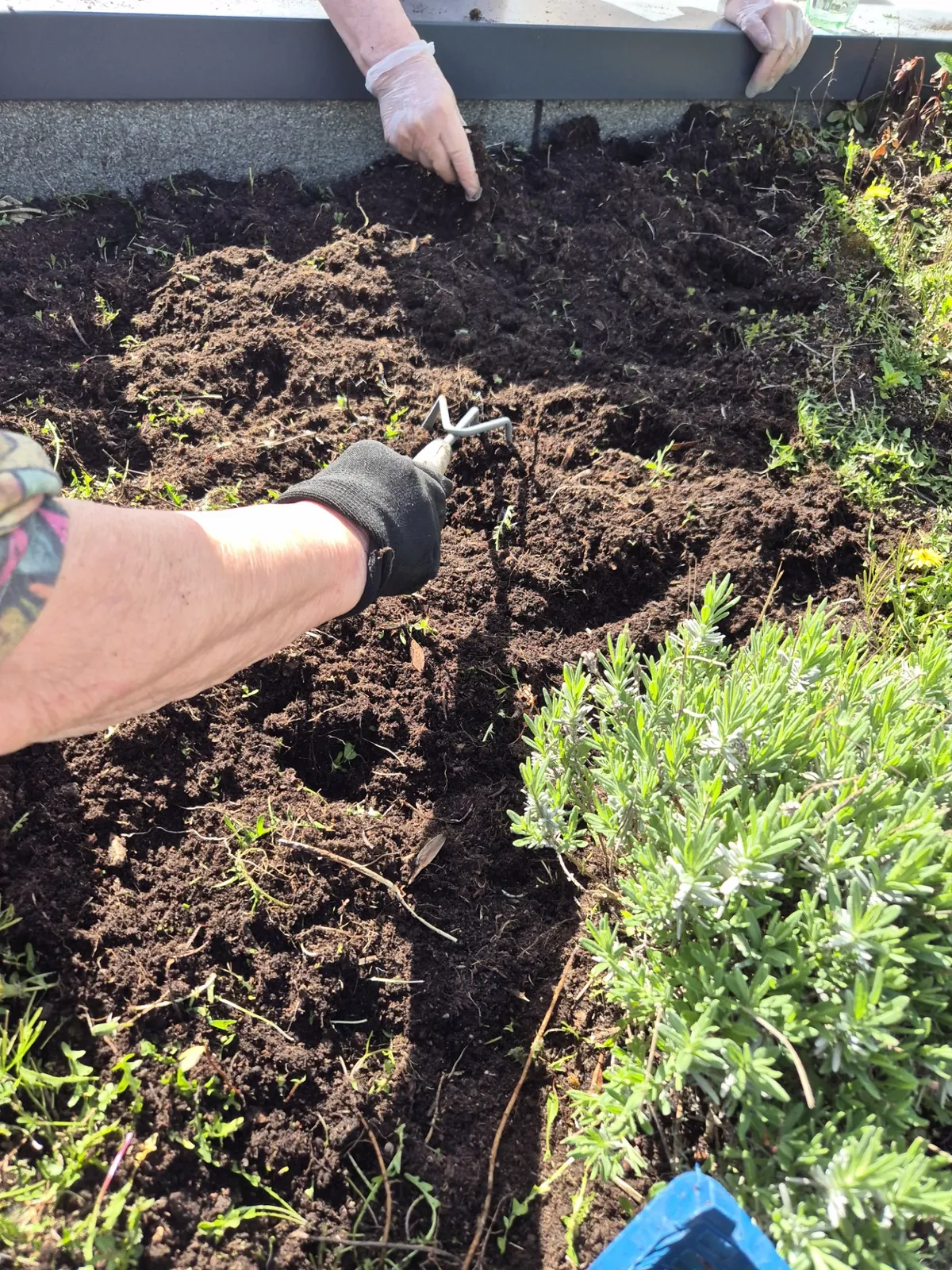 Après midi jardinage! 