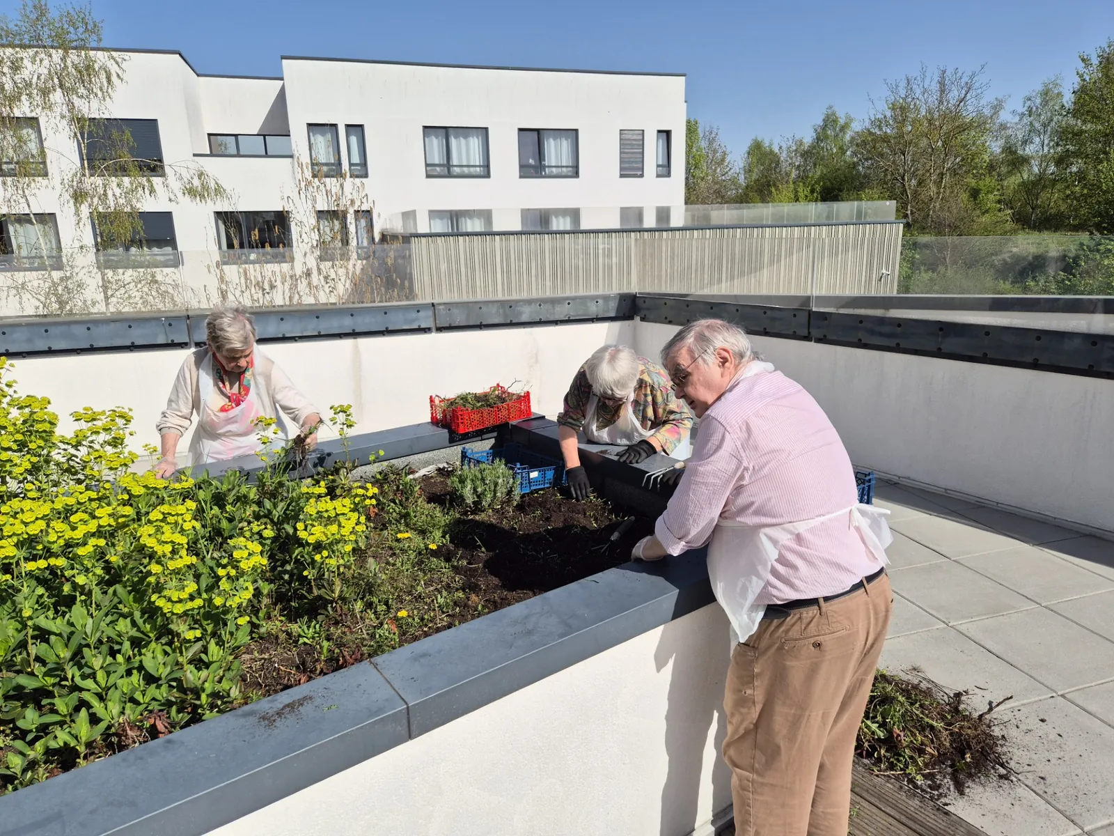 Après midi jardinage! 