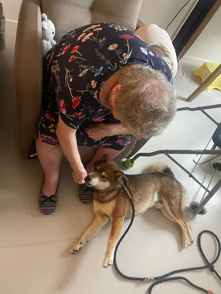 Bienvenu à Tango !