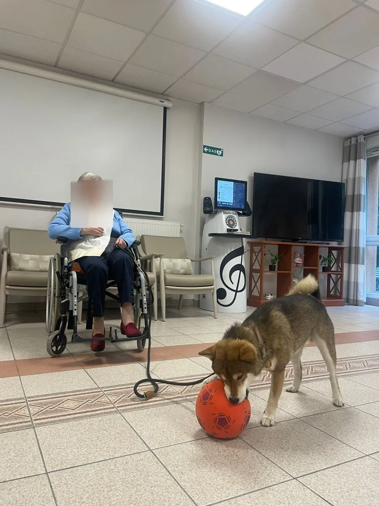 Bienvenu à Tango !