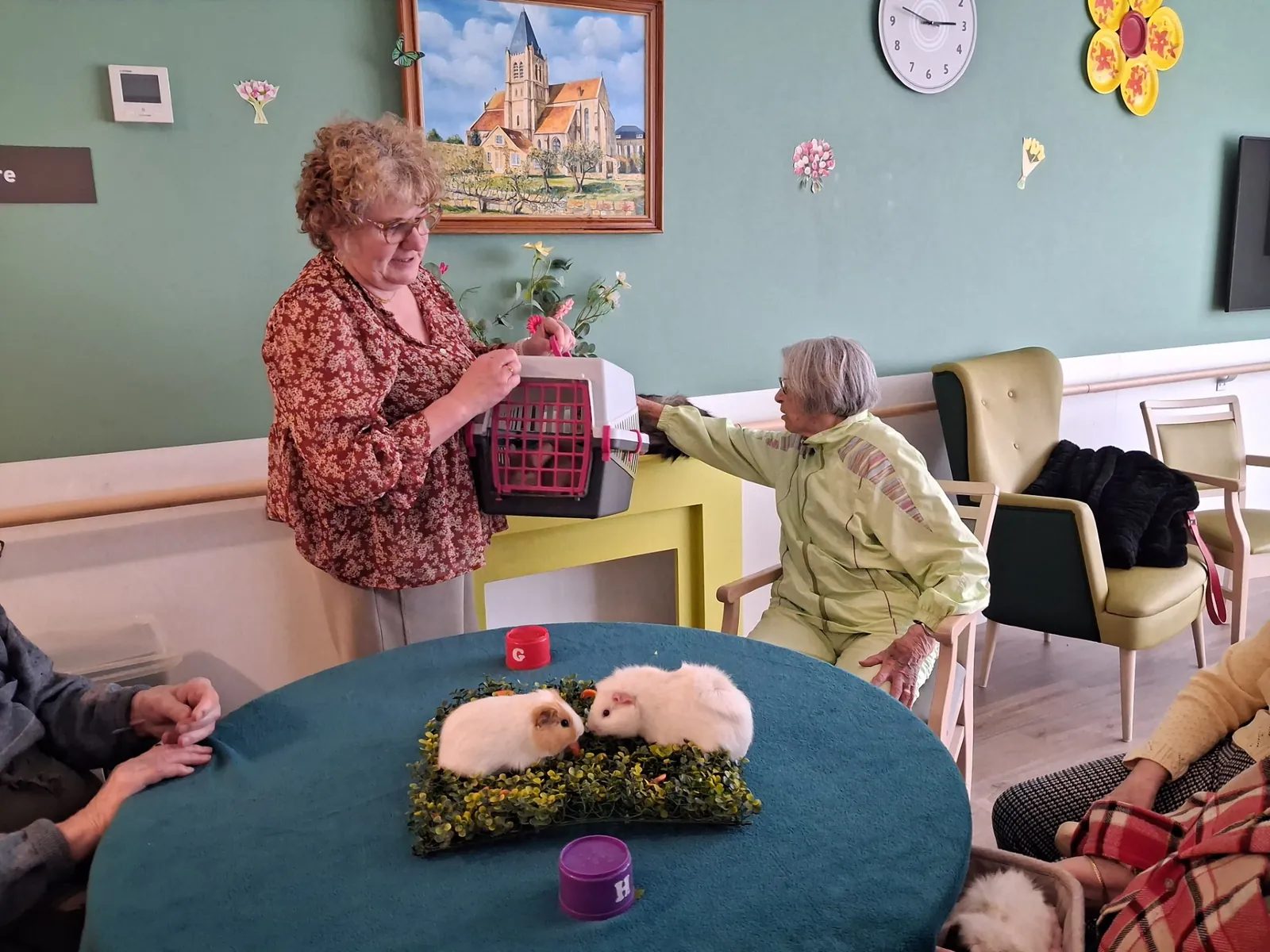 Des moments de douceur grâce à la médiation animale