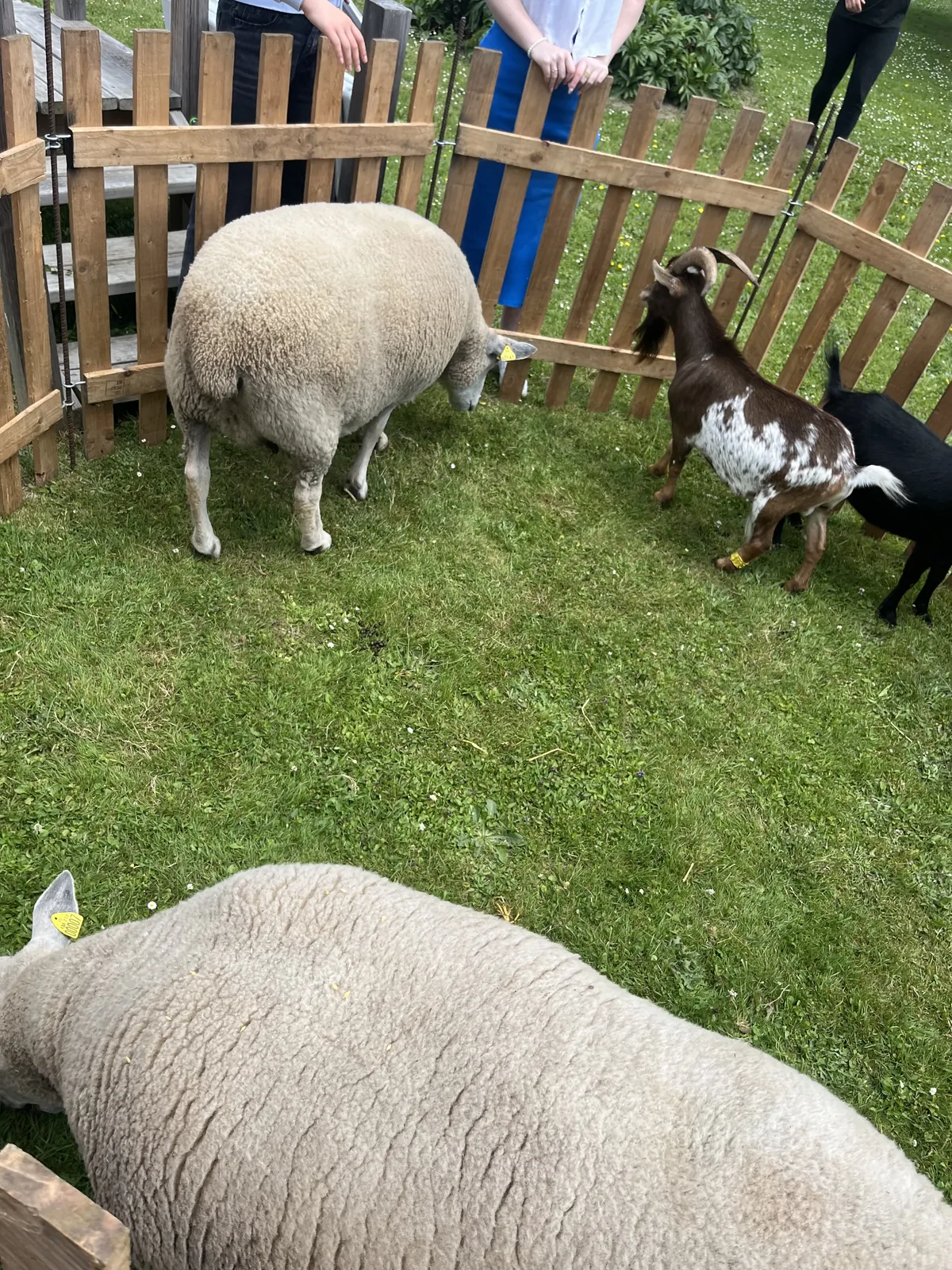 Préparation de la fête des familles 