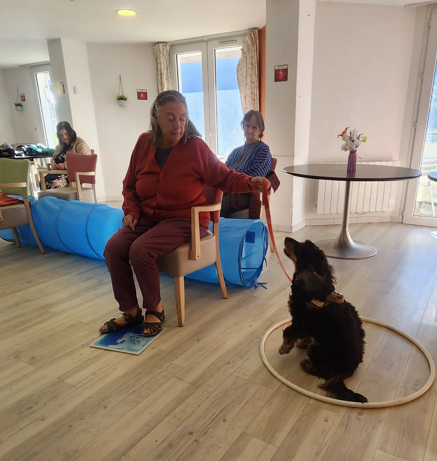 Animation Animale 