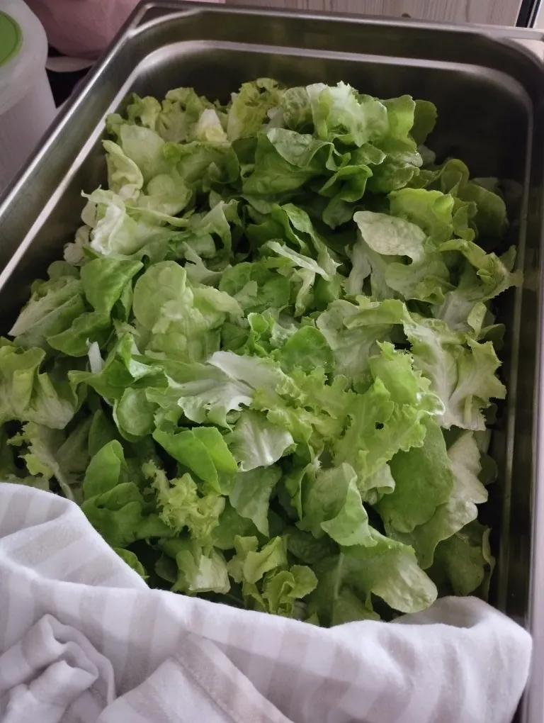 Du jardin à l'assiette