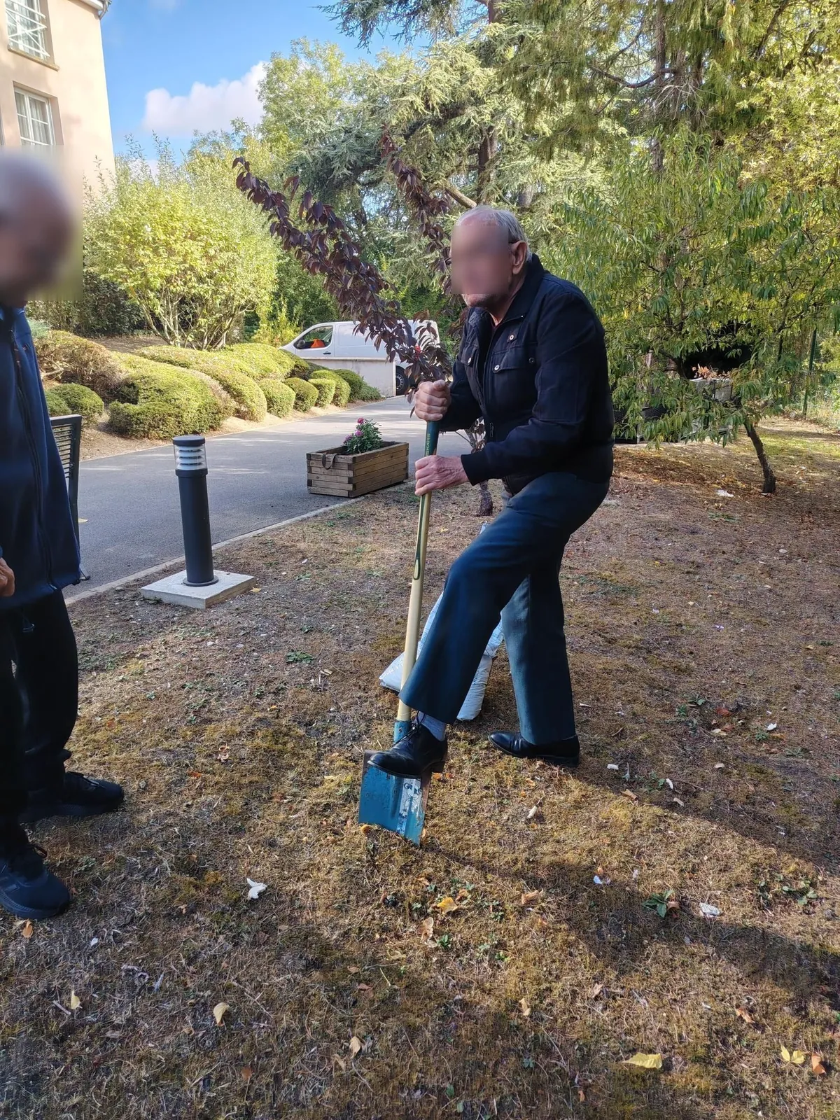 Un nouvel arbuste porteur de sens dans le jardin de la résidence