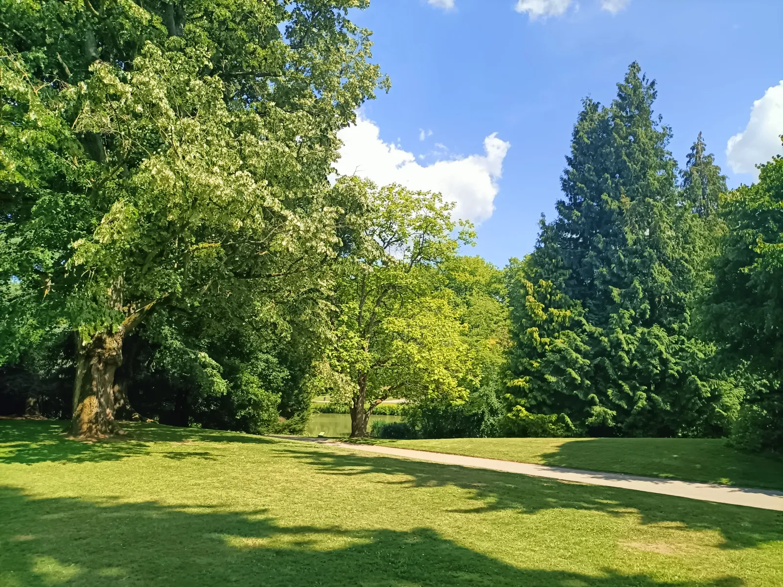 Sortie au parc Barbieux pour respirer un peu 