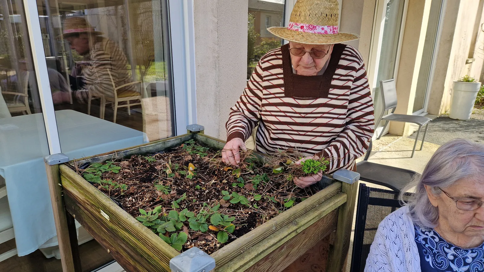 Jardinage 