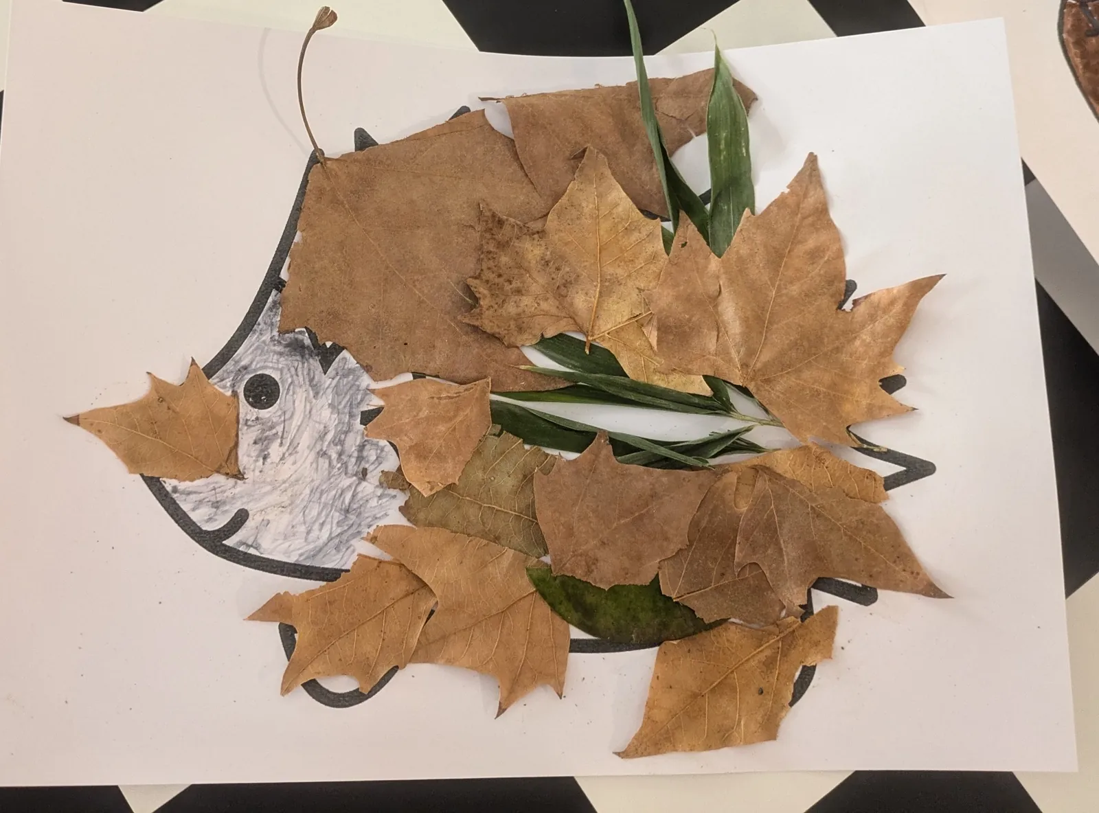 C'EST L'AUTOMNE !!!