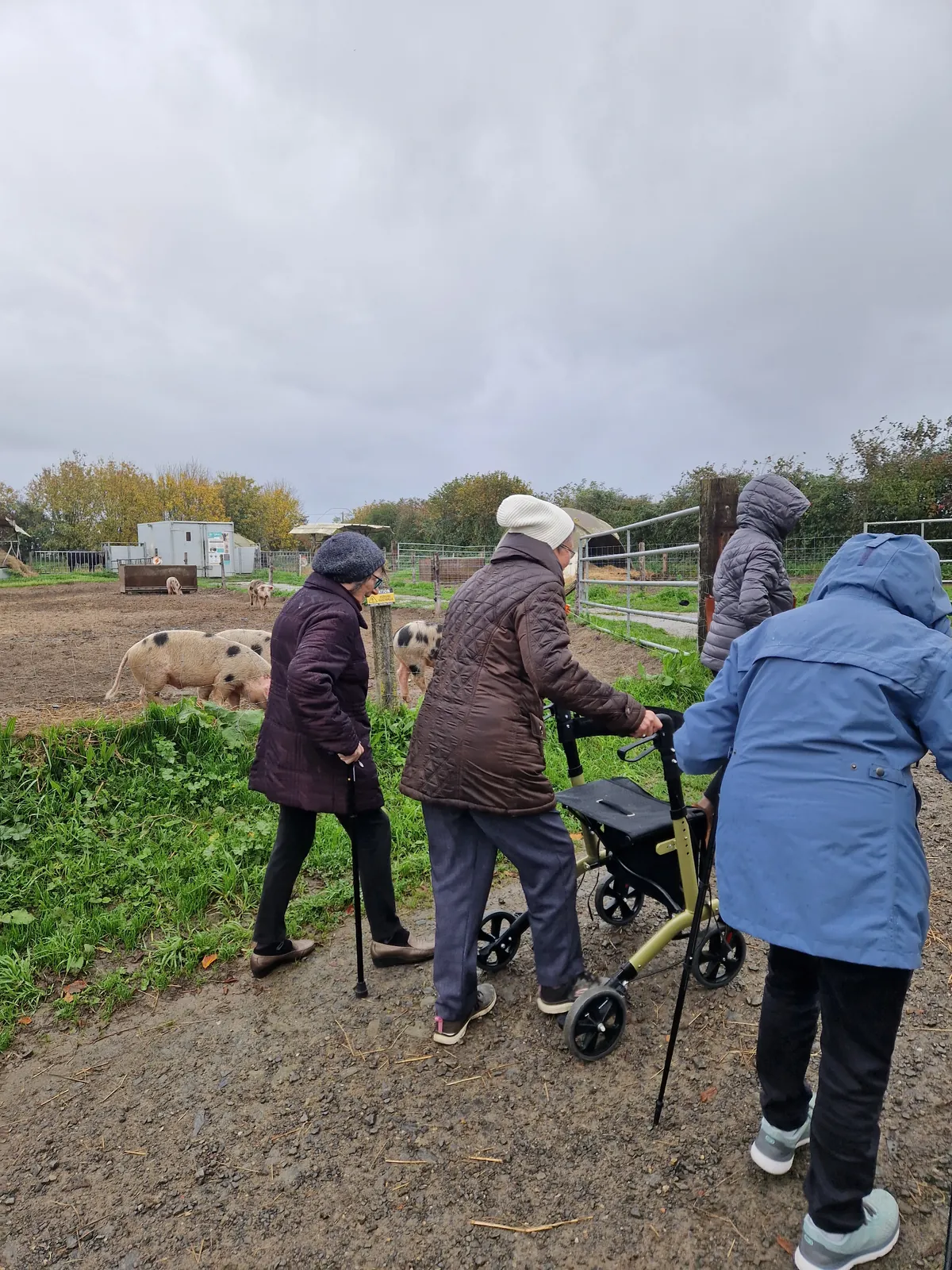 sortie à la ferme