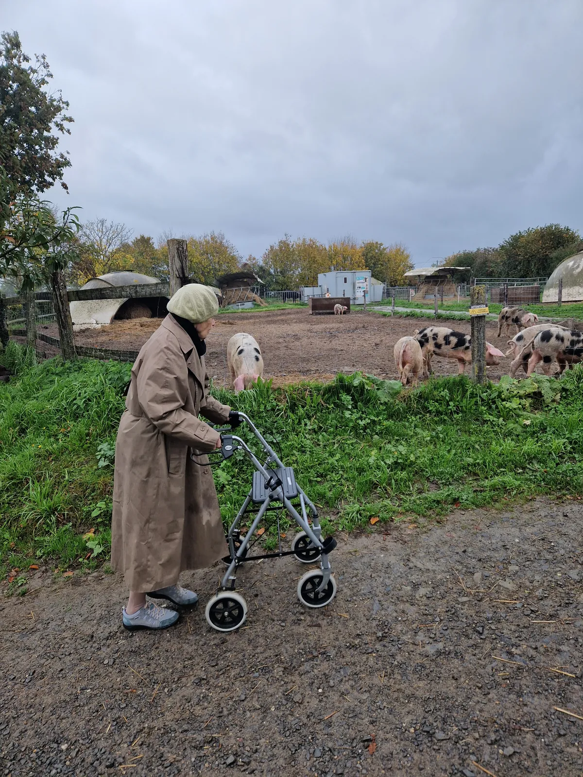 sortie à la ferme