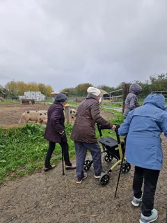 sortie à la ferme