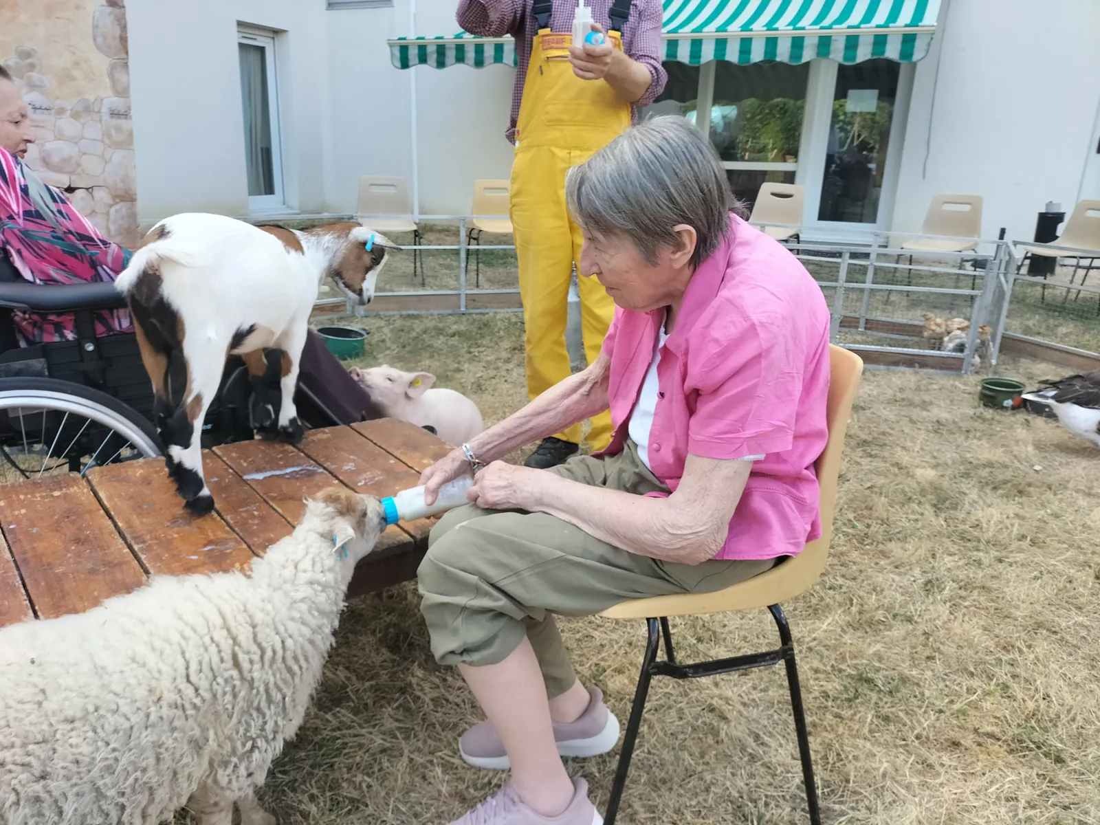 FESTIVAL CHAMPETRE 