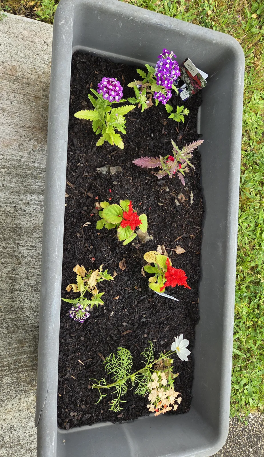 Chut… le potager prend vie à l'accueil de jour !
