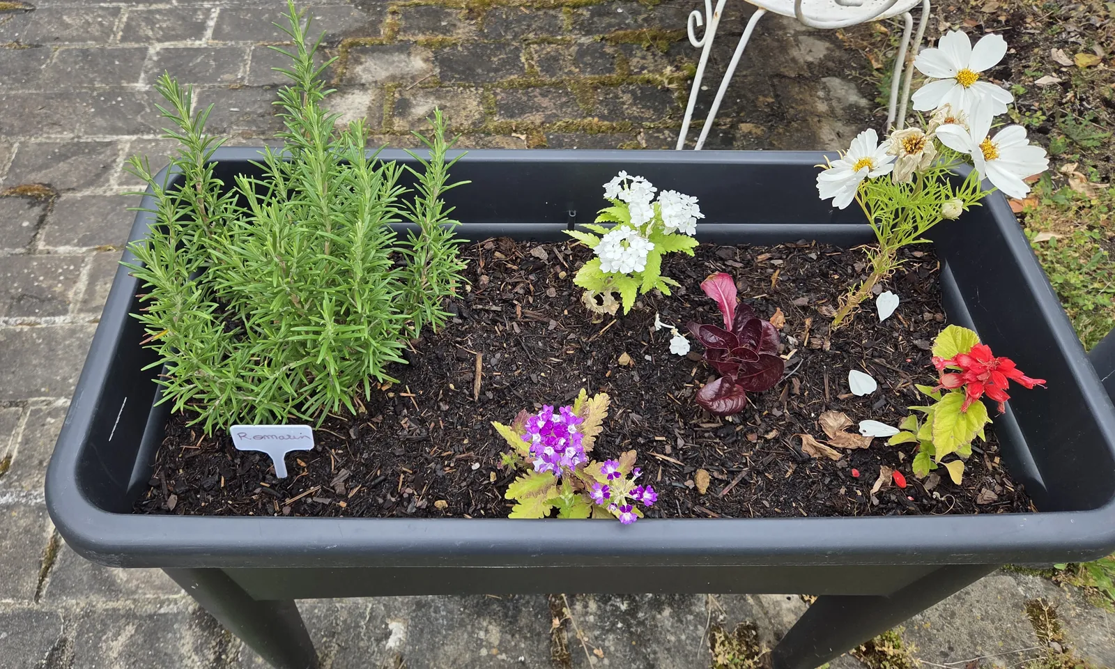 Chut… le potager prend vie à l'accueil de jour !