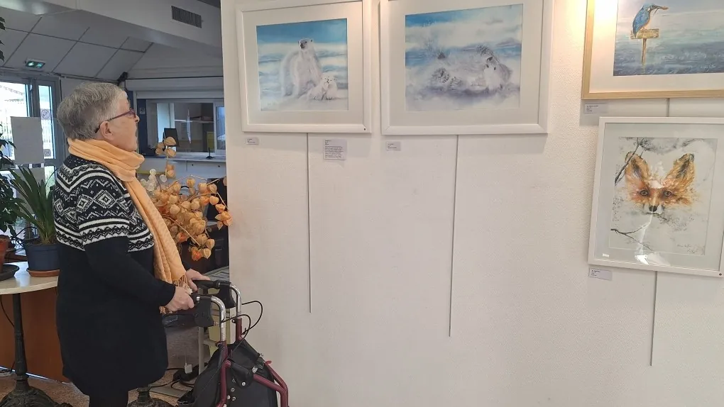 Exposition d'aquarelle