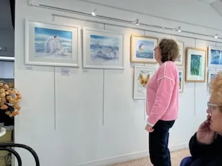 Exposition d'aquarelle