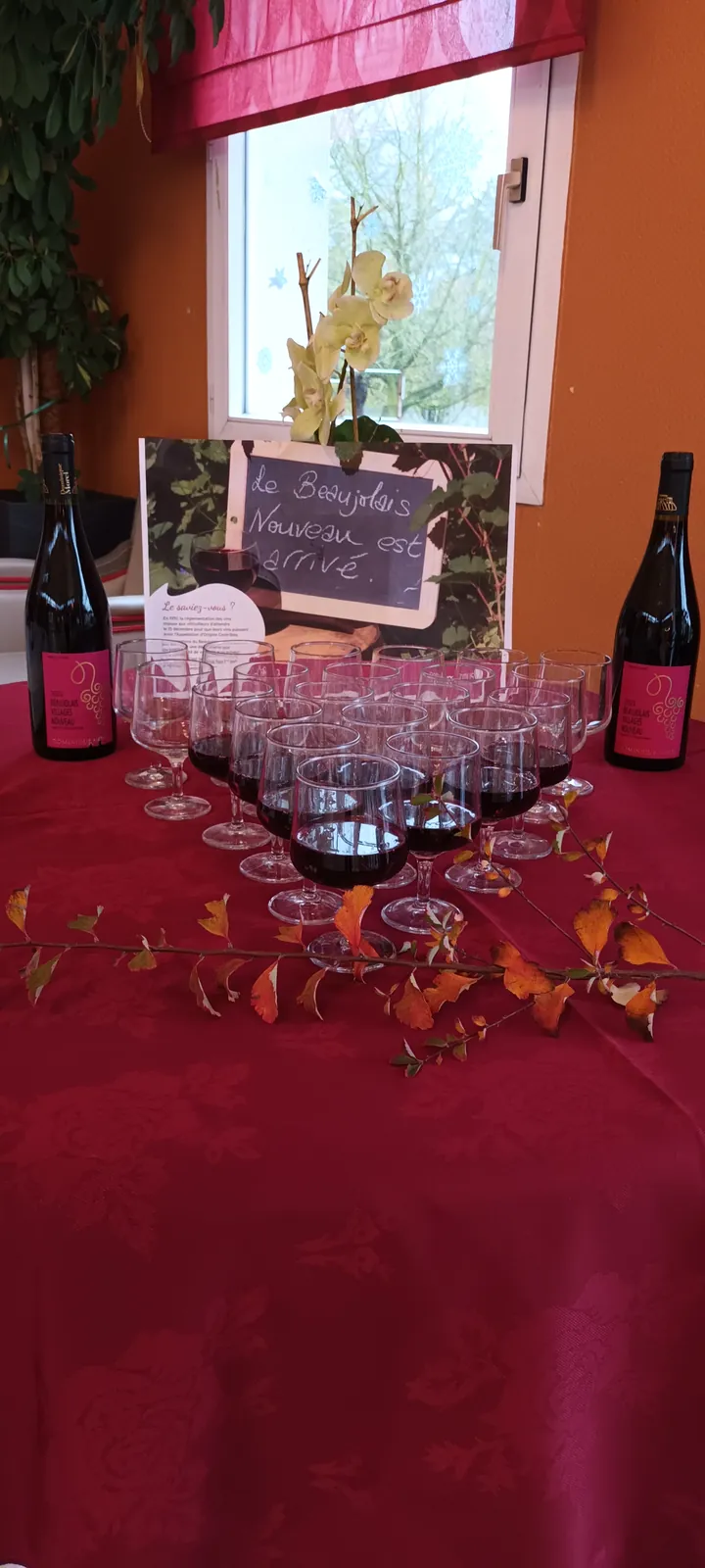 Le beaujolais nouveau ! 