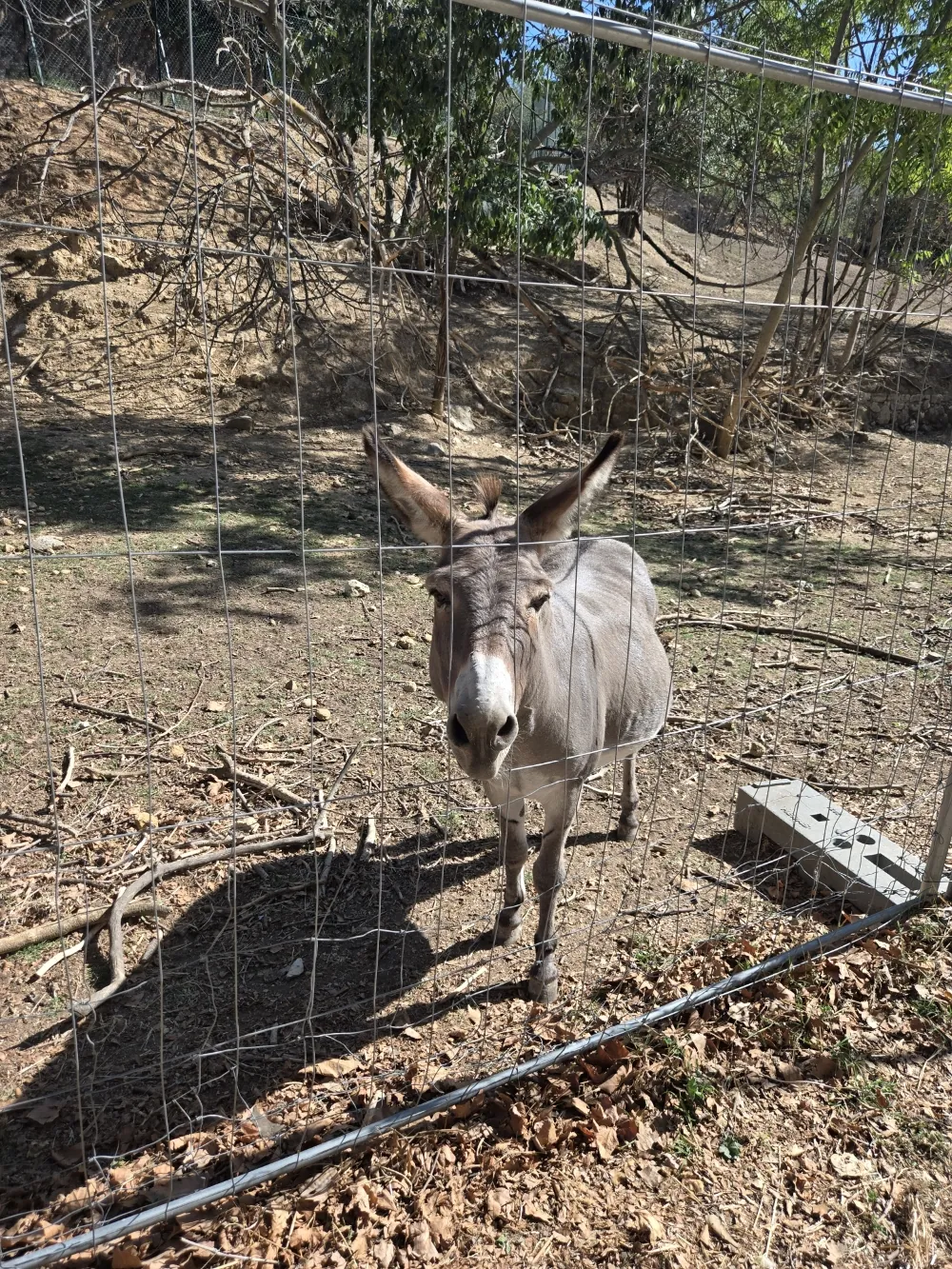 Après-midi au parc du Bocage / Septembre 2026